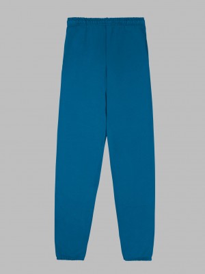 Blue Fruit Of The Loom EverSoft® Fleece Elastic Bottom Men's Sweatpants | ACV901534