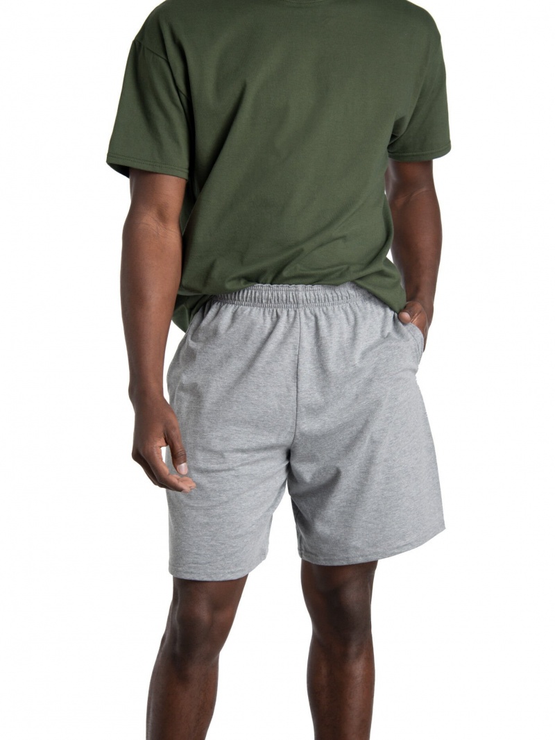 Mnrlgryhtr Fruit Of The Loom Eversoft® Jersey Short, Extended Size, 2 Pack Men's Shorts | EGO578209