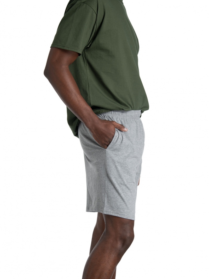 Mnrlgryhtr Fruit Of The Loom Eversoft® Jersey Short, Extended Size, 2 Pack Men's Shorts | EGO578209