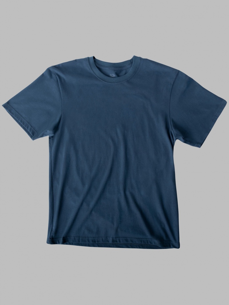 Smoke Blue Fruit Of The Loom Crafted Comfort Legendary Tee™ Crew Men's T Shirts | NYC746590